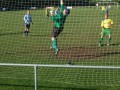 Thomas & Williams Cup Final