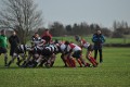 Pulborough 15/01/11