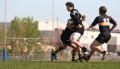 LRC VS Hornets 2010
