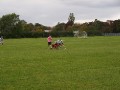 Hull v Newcastle 2010-11