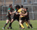 Match action from Valley Cougars vs Bramley Buffaloes in the Conference National. Images courtesy of Gareth Davies.