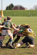 20110319 - Orpington vs Brockleians
