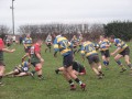 2nds_V_Pavs