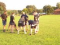 Old Player Pics and Celebrations