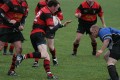 Go get the ball Kieran.........OK.