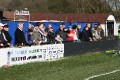 loyal supporters