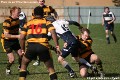 morgan academy v livingston