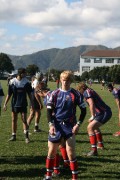 More New Zealand
