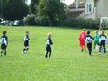 under 8's