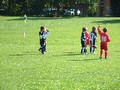 under 8's