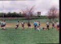 Old Dogs 2001
