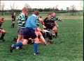 Old Dogs 2001