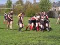 lismore v hawick quins