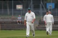 Mountain Ash V's Sully
