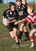 U9 v Atherstone @ CRFC 2010-11-13