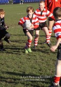 U9 v Atherstone @ CRFC 2010-11-13