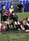 U9 v Atherstone @ CRFC 2010-11-13
