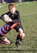 U9 v Atherstone @ CRFC 2010-11-13