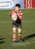 U9 v Atherstone @ CRFC 2010-11-13