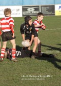 U9 v Atherstone @ CRFC 2010-11-13