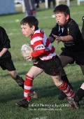 U9 v Atherstone @ CRFC 2010-11-13