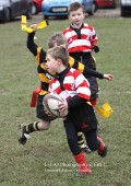 U8 v Hinckley RFC - 30th Jan 11