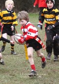U8 v Hinckley RFC - 30th Jan 11