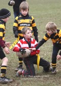 U8 v Hinckley RFC - 30th Jan 11