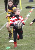 U8 v Hinckley RFC - 30th Jan 11
