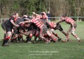 1st XV v Cheltenham North RFC - 26th Feb 2011