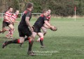 1st XV v Cheltenham North RFC - 26th Feb 2011