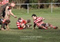 1st XV v Cheltenham North RFC - 26th Feb 2011