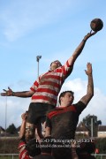 1st XV v Cheltenham North RFC - 26th Feb 2011
