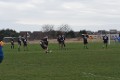 5th March 2011 - Saint Mary's Old Boys 19 v Carnforth 8 