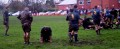 Newton v West Park Warriors