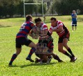 Hautapu vs Te Rapa 2011