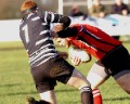 Hartpury College (H - 13 Feb 2011)