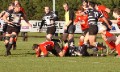 Hartpury College (H - 13 Feb 2011)
