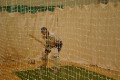 Winter Nets